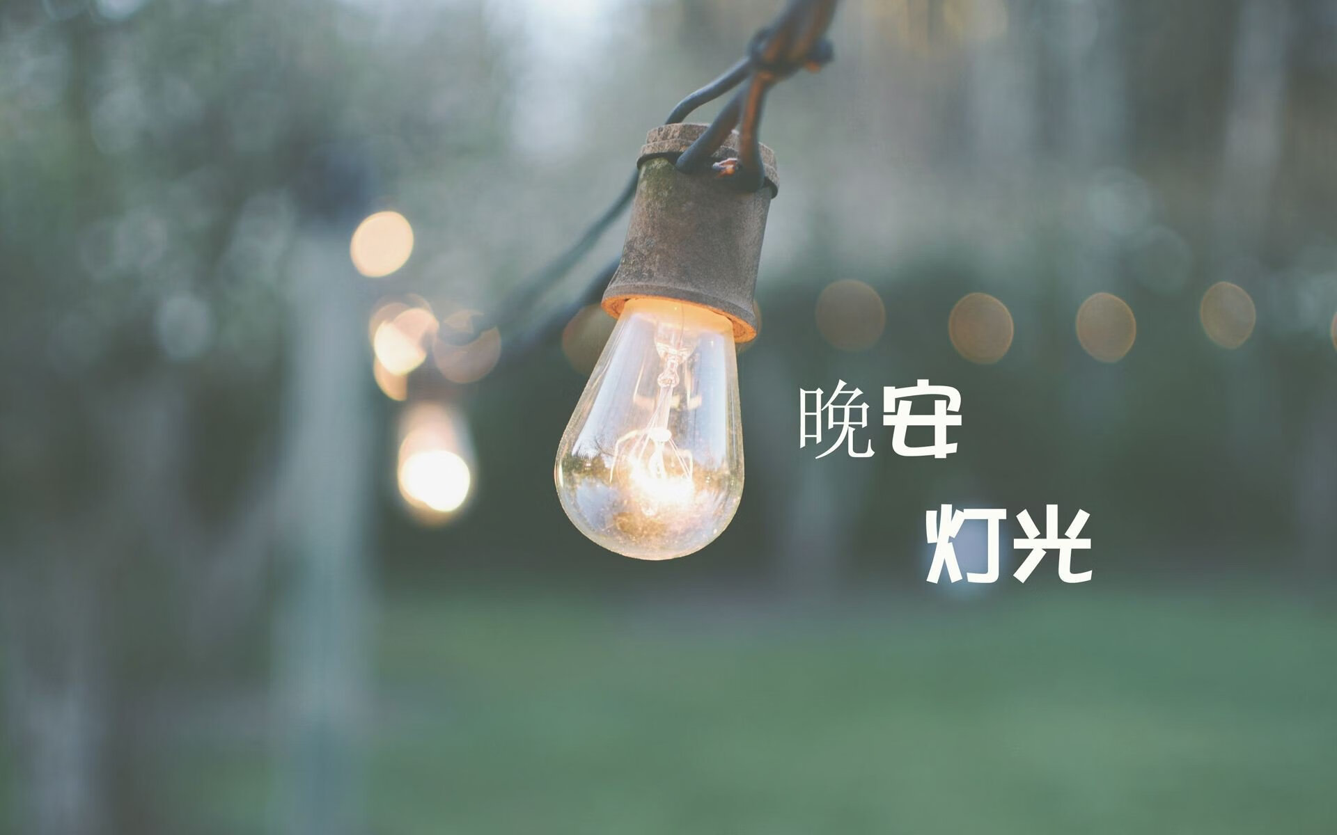当「争议之火」撞上「破局新规」——Ming联盟如何用变革平息风暴？